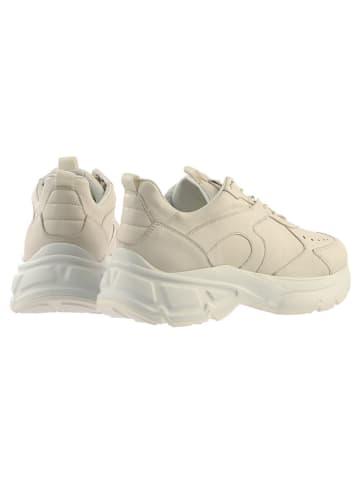 Högl Leder-Sneakers in Creme