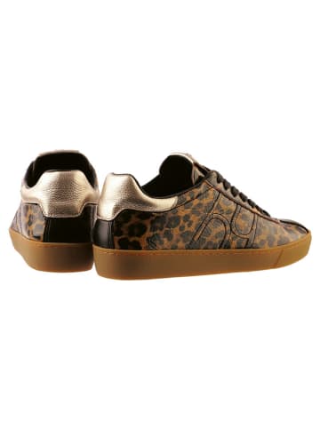 Högl Leder-Sneakers in Braun/ Hellbraun/ Schwarz