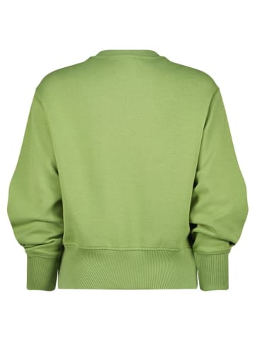 RAIZZED® Sweatshirt "Lisanne" in Grün