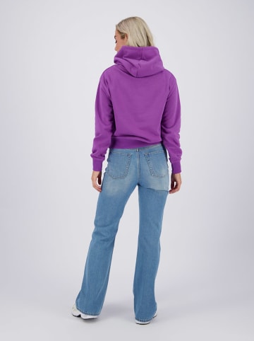 RAIZZED® Jeans "Sunset Flare" - Regular fit - in Blau