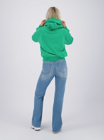 RAIZZED® Hoodie in Grün