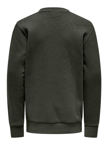 ONLY & SONS Junior Sweatshirt "Ceres" in Khaki