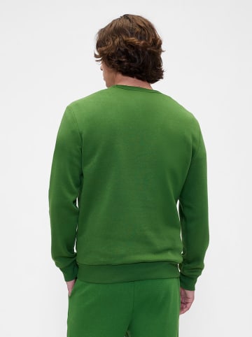 GAP Sweatshirt in Grün