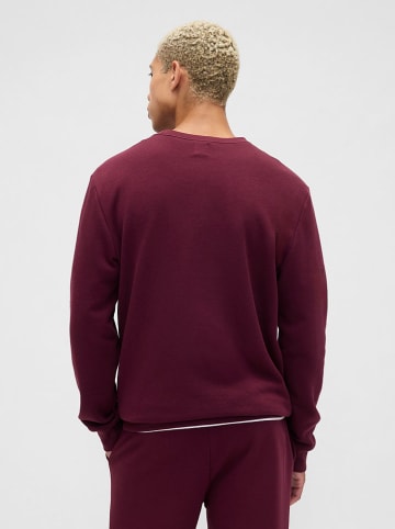 GAP Sweatshirt in Bordeaux