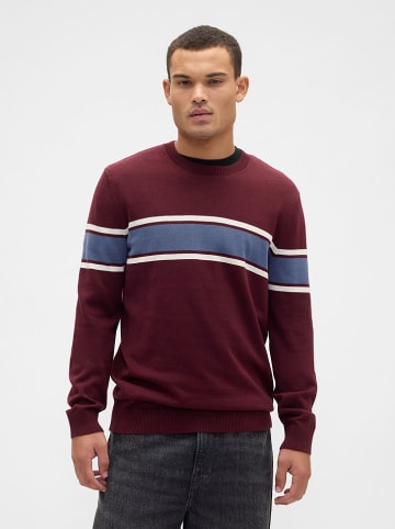 GAP Sweter w kolorze bordowym