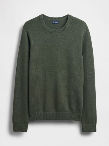 GAP Pullover in Dunkelgrün