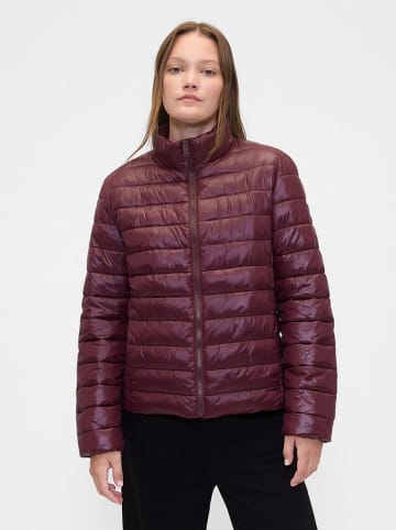 GAP Steppjacke in Bordeaux