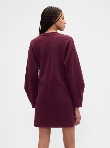 GAP Sweatkleid in Bordeaux