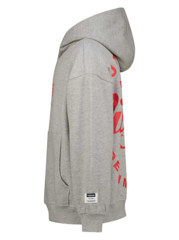 Vingino Hoodie grijs