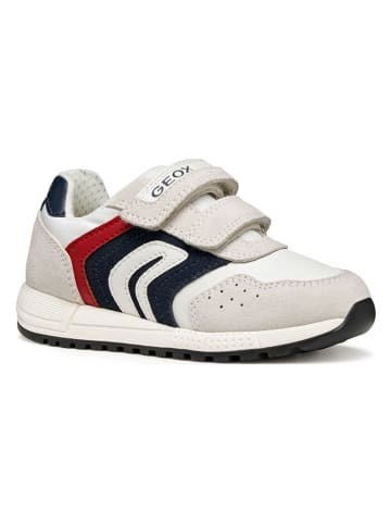 Geox Sneakers "Alben" in Creme