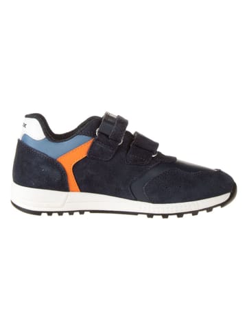 Geox Sneakers "Alben" in Dunkelblau/ Orange