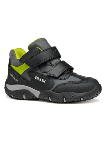 Geox Boots "Baltic" in Schwarz