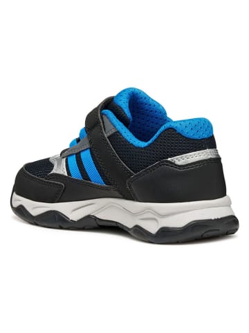 Geox Sneakers "Calco" in Schwarz