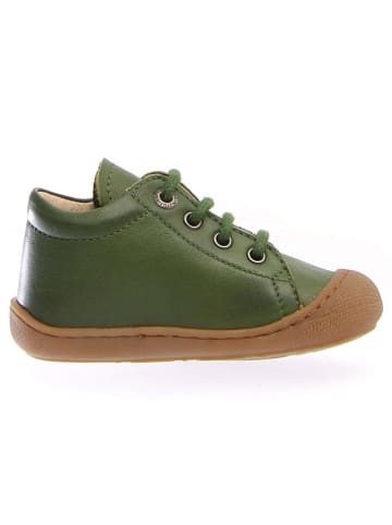 Naturino Leder-Lauflernschuhe "Cocoon" in Grün