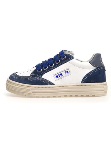 Naturino Leder-Sneakers "Ariton" in Dunkelblau/ Weiß