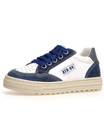 Naturino Leren sneakers "Ariton" donkerblauw/wit