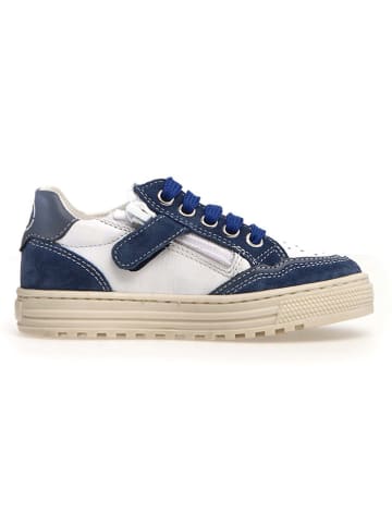 Naturino Leder-Sneakers "Ariton" in Dunkelblau/ Weiß