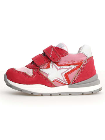 Naturino Leder-Sneakers in Rot/ Pink/ Weiß