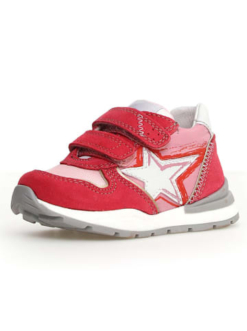 Naturino Leder-Sneakers in Rot/ Pink/ Weiß