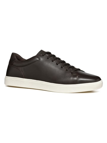 Geox Leder-Sneakers "Avola" in Schwarz