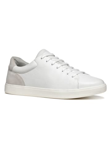 Geox Leder-Sneakers "Avola" in Weiß/ Grau