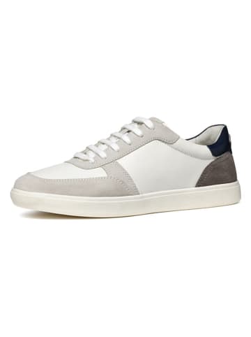 Geox Skórzane sneakersy "Avola" w kolorze biało-szarym