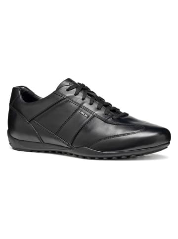 Geox Leder-Sneakers "Wells" in Schwarz