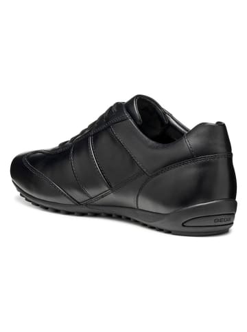 Geox Leder-Sneakers "Wells" in Schwarz