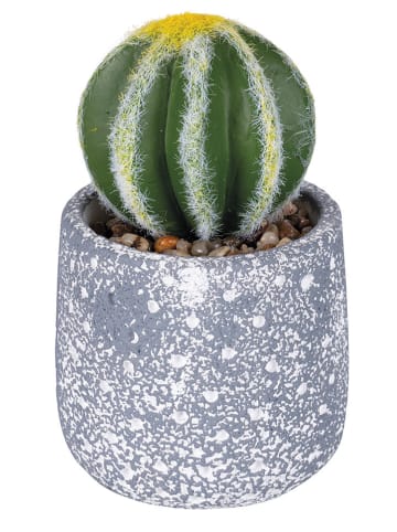 Villa d´Este Kunstpflanze "Cactus" in Grün/ Grau - (H)15 cm