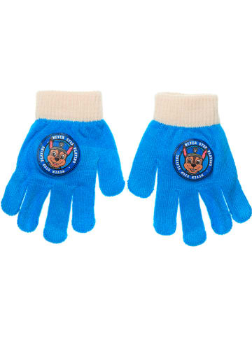 Paw Patrol Fingerhandschuhe "Paw patrol" in Blau