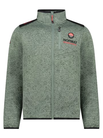 Geographical Norway Fleecejacke "Tavid" in Grün