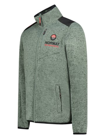 Geographical Norway Fleecejacke "Tavid" in Grün