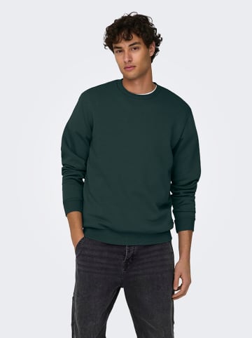 ONLY & SONS Sweatshirt "Ceres" in Dunkelgrün