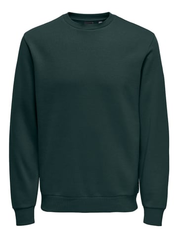 ONLY & SONS Sweatshirt "Ceres" in Dunkelgrün