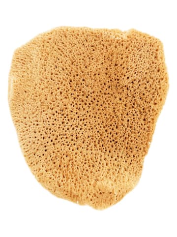 Lullalove Gąbka naturalna w kolorze żółtym