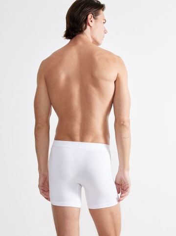 Sloggi 2er-Set: Boxershorts ''Ever Ease'' in Weiß