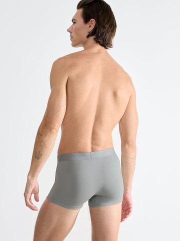Sloggi 2-delige set: boxershorts "Ever Ease" grijs