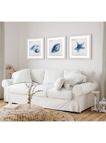 Ars Longa 3er-Set Gerahmte Kunstdrucke "Blue Shells" - (L)70 x (B)70 cm