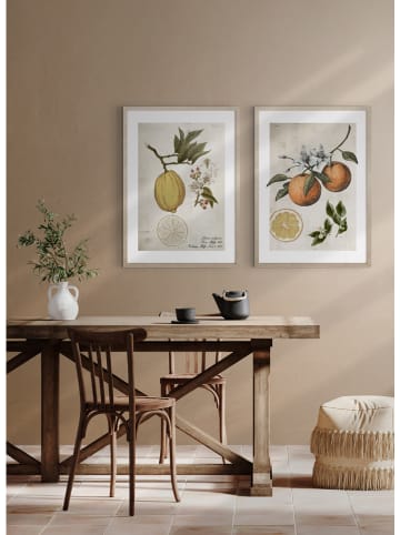 Ars Longa Gerahmter Kunstdruck "Orange Life Cycle" - (L)70 x (B)50 cm