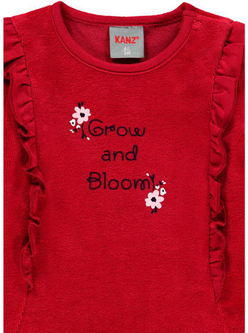 Kanz Bluza w kolorze czerwonym