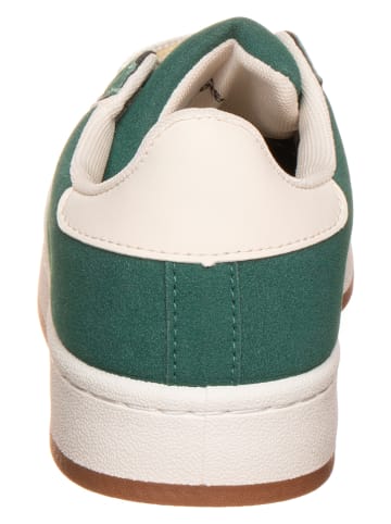 Bellucci Sneakers in Grün/ Weiß