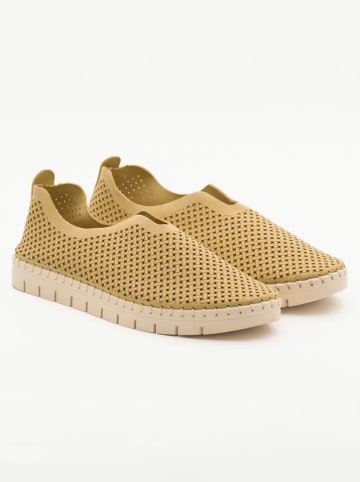 Bellucci Slipper in Gelb