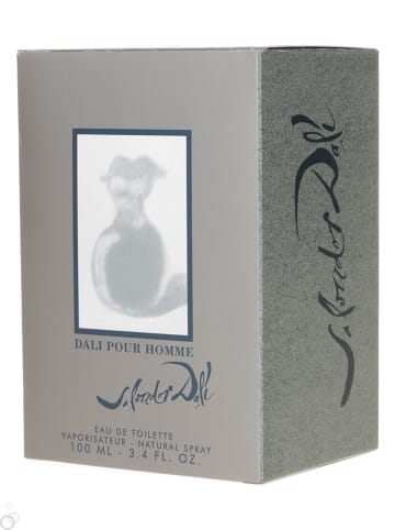 Salvador Dali Salvador Dali Pour Homme - eau de toilette, 100 ml