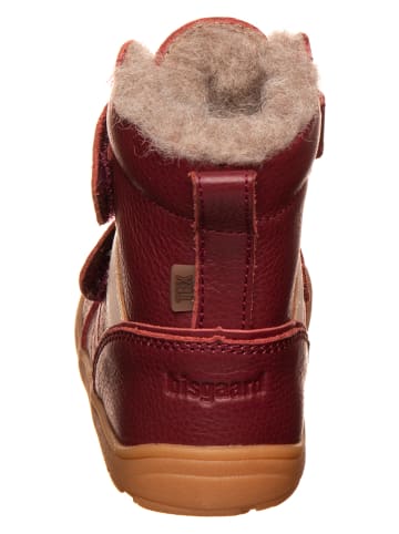 bisgaard Leder-Barfußschuhe  in Bordeaux