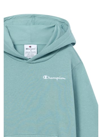 Champion Hoodie lichtblauw