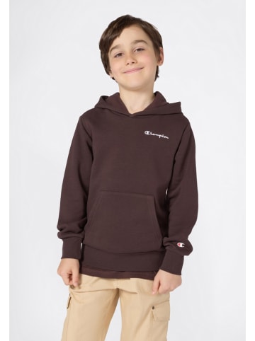 Champion Bluza w kolorze brązowym