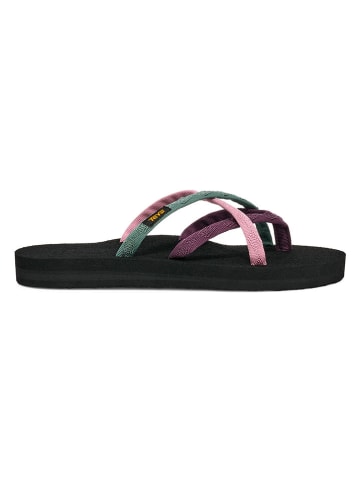 Teva Zehentrenner "Olowahu" in Bunt