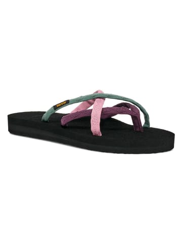 Teva Zehentrenner "Olowahu" in Bunt