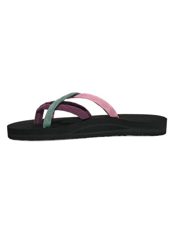 Teva Zehentrenner "Olowahu" in Bunt