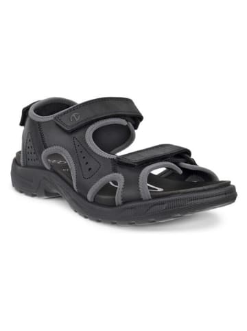 Ecco Leren wandelsandalen "Hike" zwart/grijs